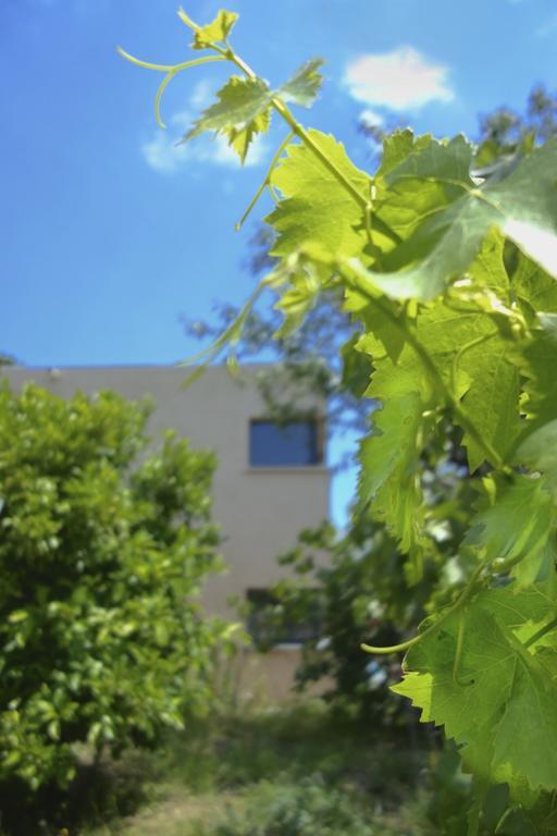 Le Clos Saint Elme * Collioure